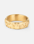 Celestial Ring — Psalm 147:4