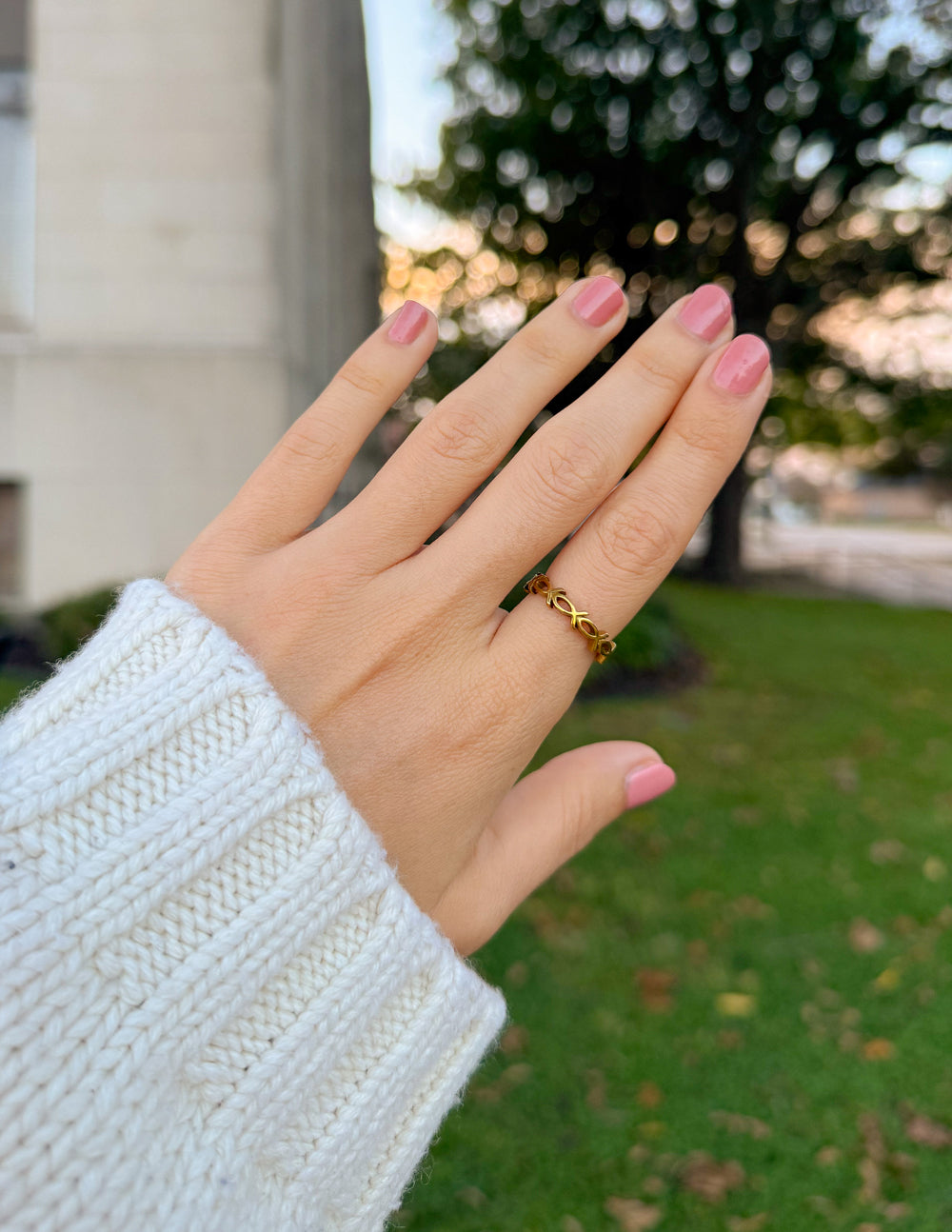 Infinity Jesus Fish Ring — Ichthys