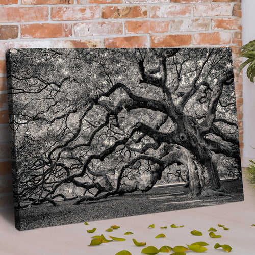 Angel Oak Tree — Monochrome Canvas Wall Art
